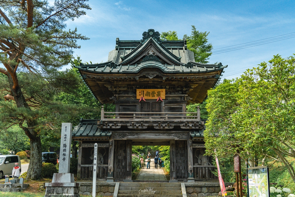 福島攝影記錄｜陽林寺紫陽花季：5,000 株繡球花圍繞的山寺，拍下初夏最靜謐的色彩 @偽日本人May．食遊玩樂