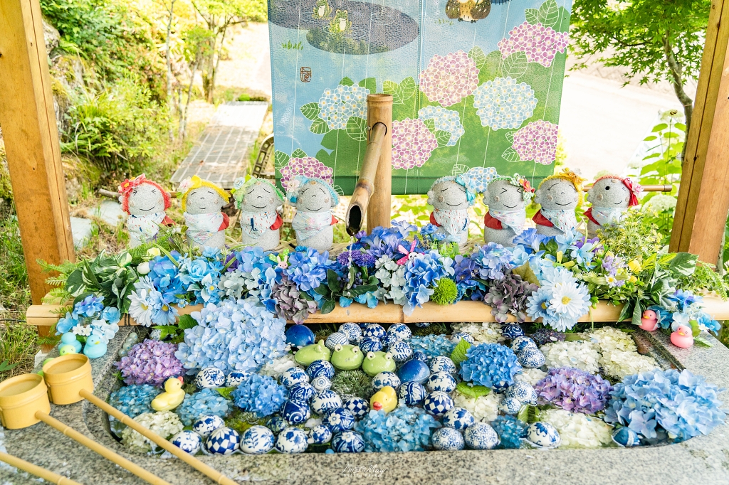 福島攝影記錄｜陽林寺紫陽花季：5,000 株繡球花圍繞的山寺，拍下初夏最靜謐的色彩 @偽日本人May．食遊玩樂