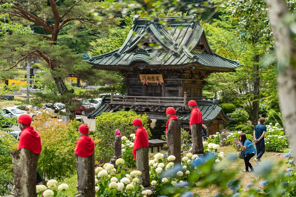 福島攝影記錄｜陽林寺紫陽花季：5,000 株繡球花圍繞的山寺，拍下初夏最靜謐的色彩 @偽日本人May．食遊玩樂