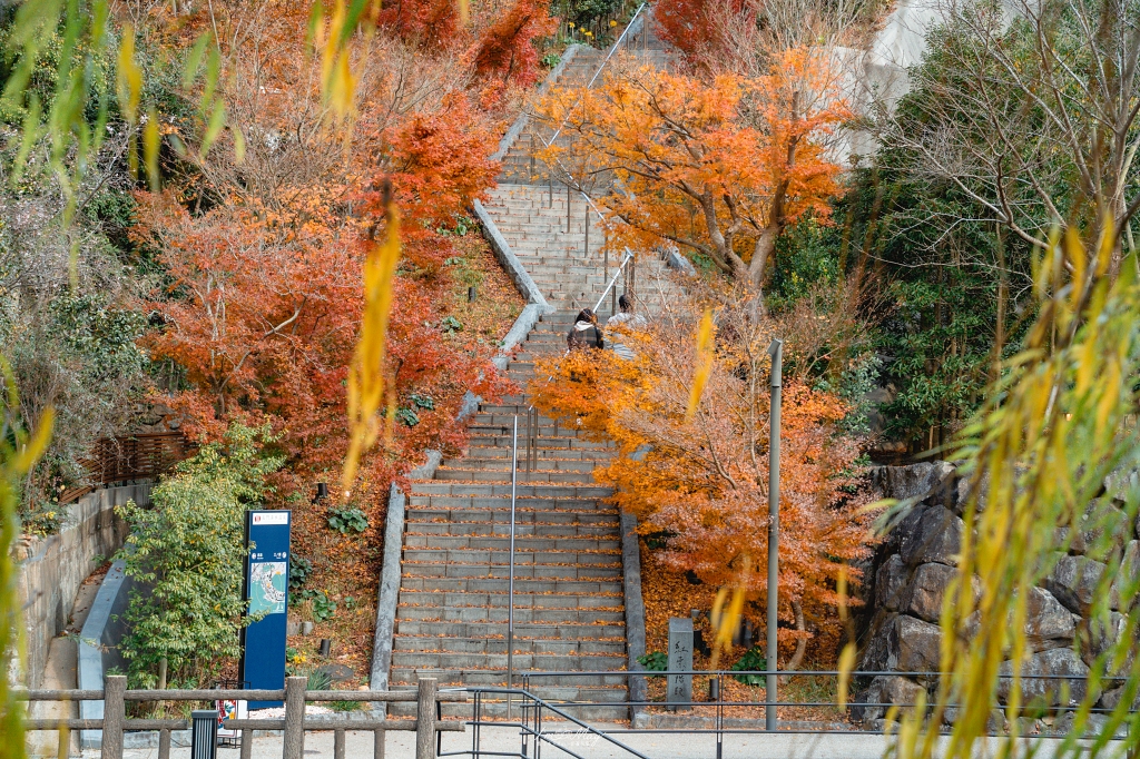 紅葉相伴的長門湯本溫泉午餐｜「瓦そば柳屋」用一片瓦承載整個山口的秋日香氣與風景 @偽日本人May．食遊玩樂