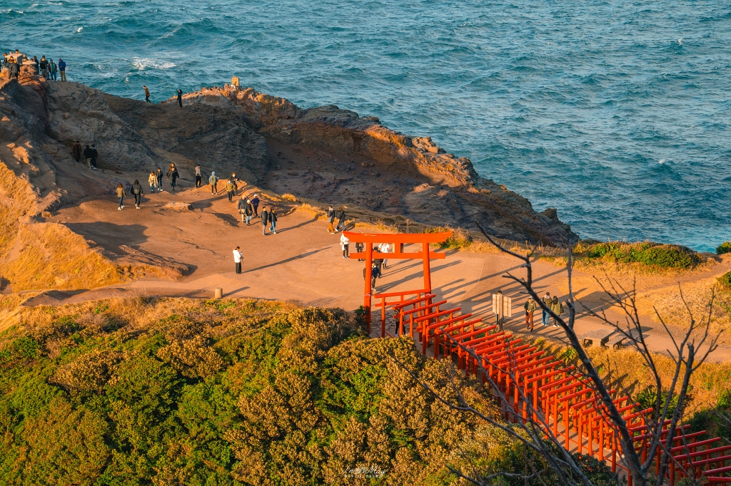 山口攝影記錄｜午後的元乃隅稻成神社，紅鳥居與夕陽海風的浪漫散步 @偽日本人May．食遊玩樂