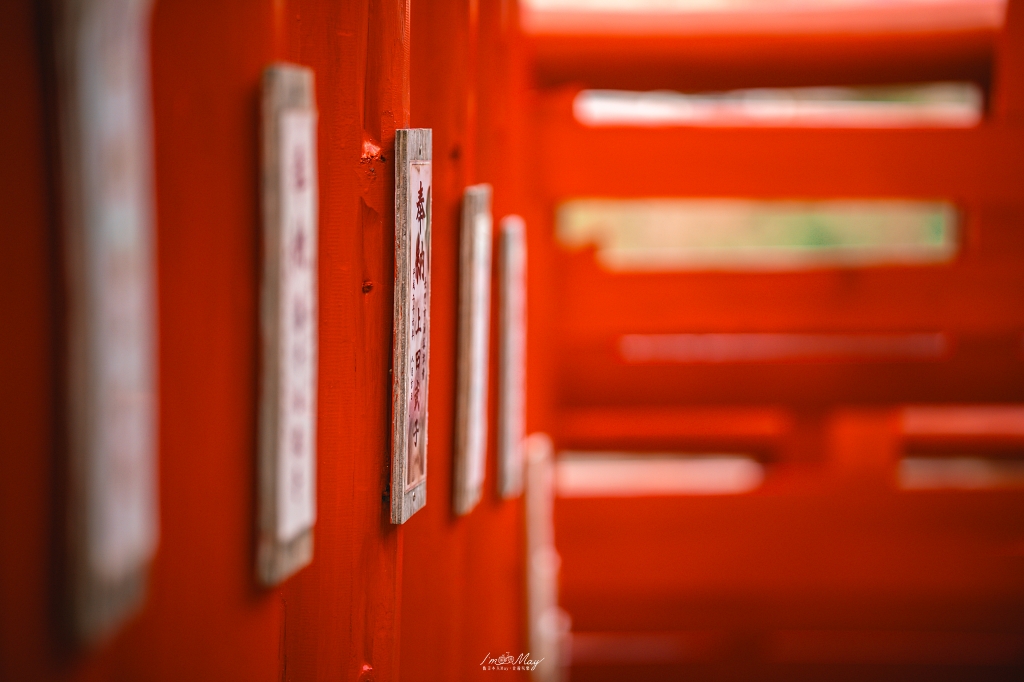 山口攝影記錄｜午後的元乃隅稻成神社，紅鳥居與夕陽海風的浪漫散步 @偽日本人May．食遊玩樂