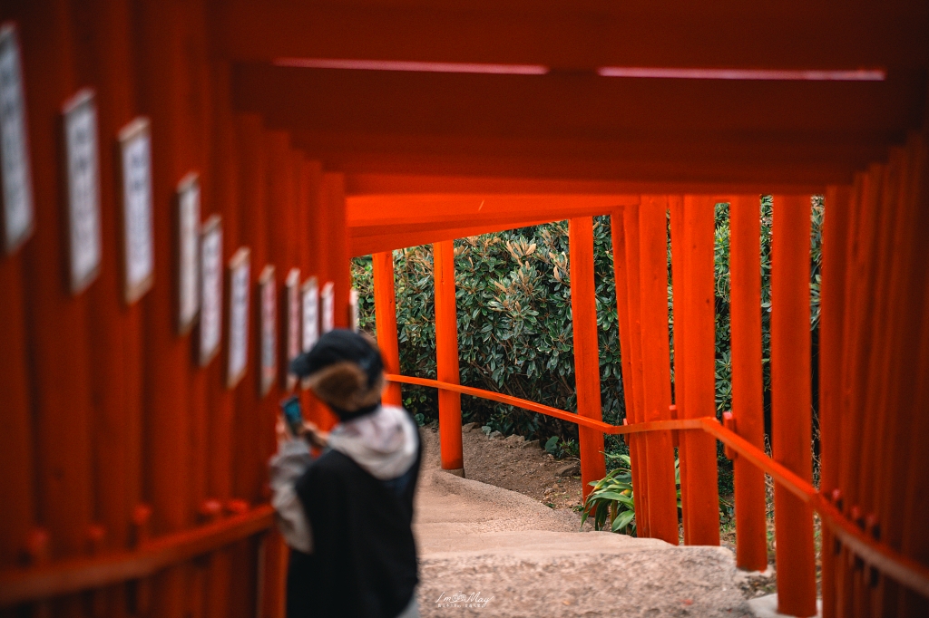山口攝影記錄｜午後的元乃隅稻成神社，紅鳥居與夕陽海風的浪漫散步 @偽日本人May．食遊玩樂