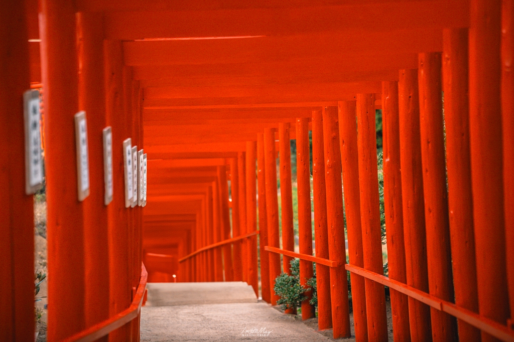 山口攝影記錄｜午後的元乃隅稻成神社，紅鳥居與夕陽海風的浪漫散步 @偽日本人May．食遊玩樂