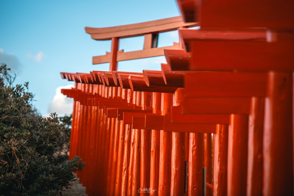 山口攝影記錄｜午後的元乃隅稻成神社，紅鳥居與夕陽海風的浪漫散步 @偽日本人May．食遊玩樂