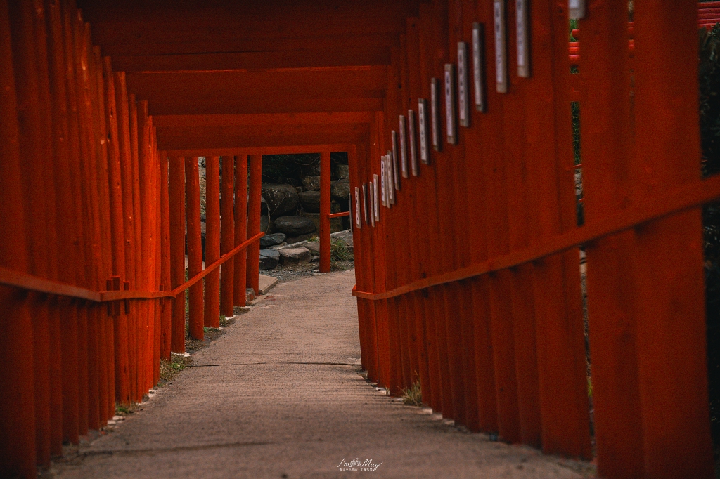 山口攝影記錄｜午後的元乃隅稻成神社，紅鳥居與夕陽海風的浪漫散步 @偽日本人May．食遊玩樂