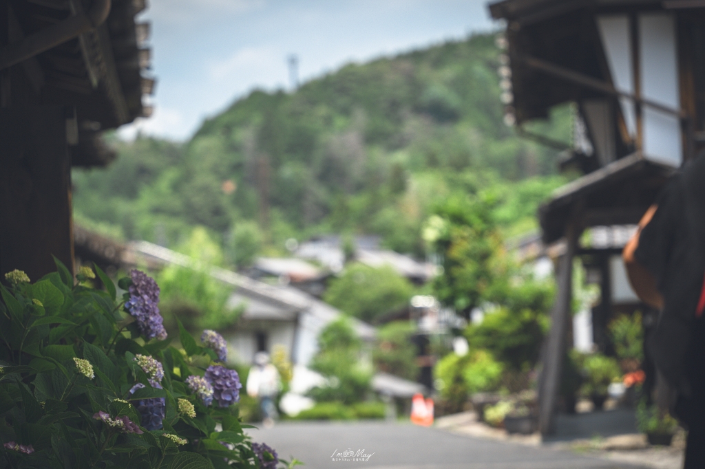 長野攝影記錄｜漫步妻籠宿老街，在中山道的初夏光影中，拍下旅途中最靜好的溫柔一瞬 @偽日本人May．食遊玩樂
