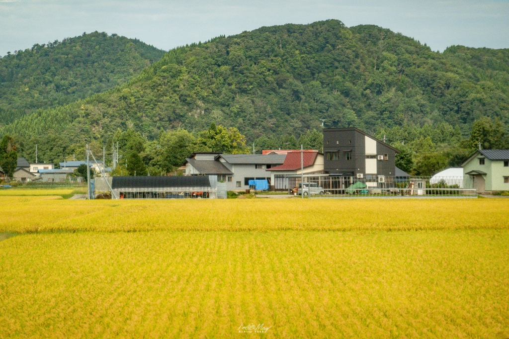 秋田旅行提案｜男鹿半島半日遊也能深度玩：真山神社淨心之旅 × 金黃稻浪治癒系風 × 在地美食與偽鐵道女子的旅程 @偽日本人May．食遊玩樂