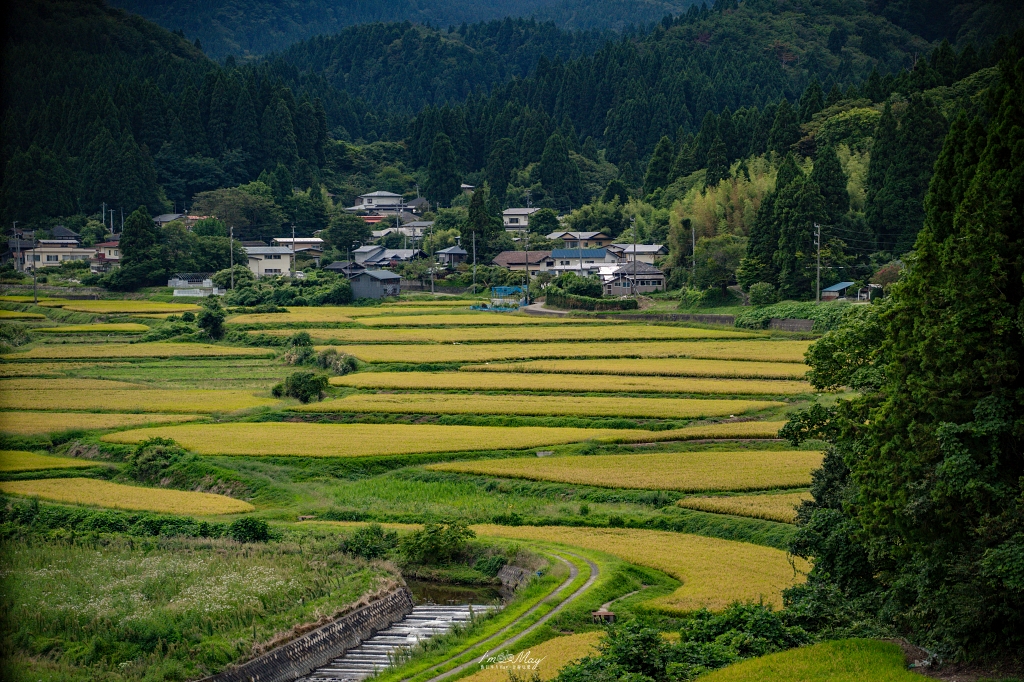 秋田旅行提案｜男鹿半島半日遊也能深度玩：真山神社淨心之旅 × 金黃稻浪治癒系風 × 在地美食與偽鐵道女子的旅程 @偽日本人May．食遊玩樂