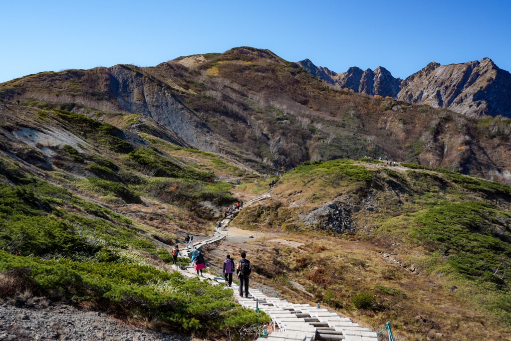 【東京淺草 × 新潟坂戶城 × 樂天旅遊】從江戶風情到越後溫泉，一趟讓住宿成為旅行亮點的慢旅行 開頭｜旅宿，其實是旅行的一部 @偽日本人May．食遊玩樂