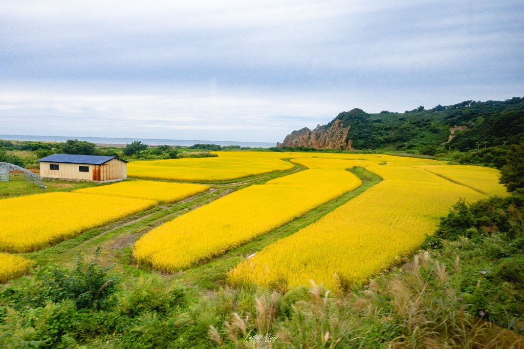 青森旅行提案 | 搭上五能線「リゾートしらかみ」絕景列車，邂逅白神山地的森之精靈與鯵ヶ沢夢幻海邊溫泉！ @偽日本人May．食遊玩樂