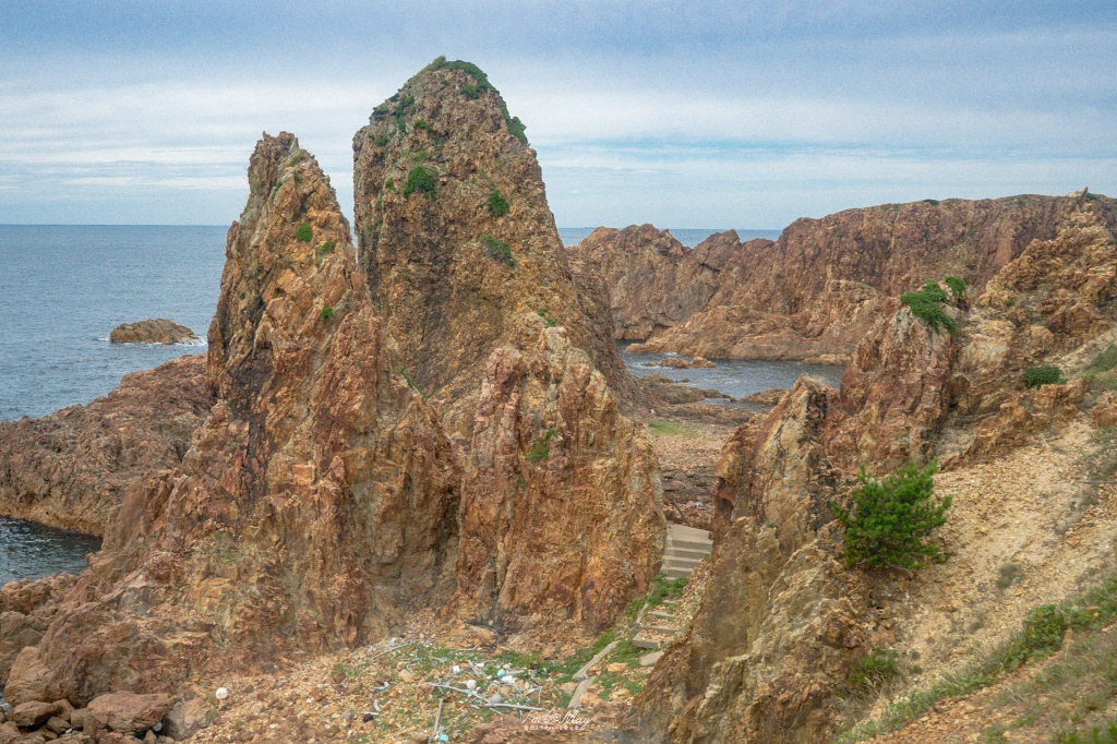 青森旅行提案 | 搭上五能線「リゾートしらかみ」絕景列車，邂逅白神山地的森之精靈與鯵ヶ沢夢幻海邊溫泉！ @偽日本人May．食遊玩樂