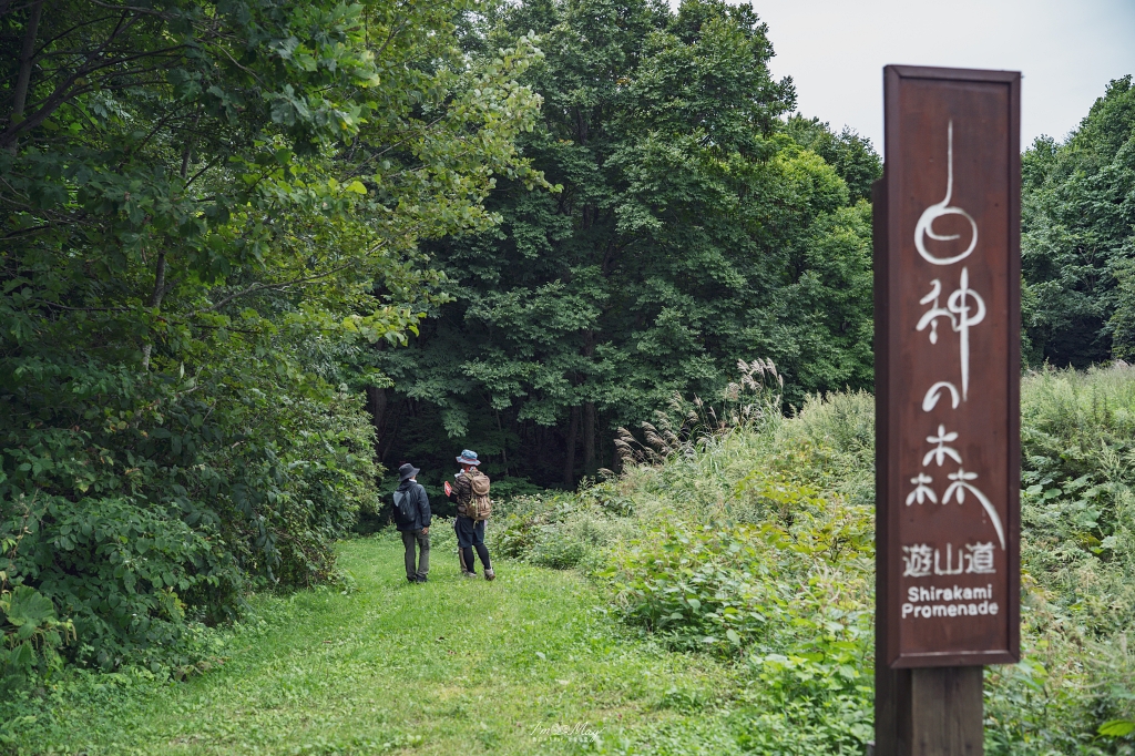 青森旅行提案 | 搭上五能線「リゾートしらかみ」絕景列車，邂逅白神山地的森之精靈與鯵ヶ沢夢幻海邊溫泉！ @偽日本人May．食遊玩樂