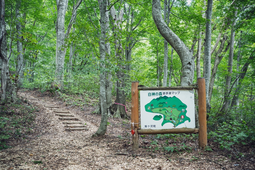 青森旅行提案 | 搭上五能線「リゾートしらかみ」絕景列車，邂逅白神山地的森之精靈與鯵ヶ沢夢幻海邊溫泉！ @偽日本人May．食遊玩樂