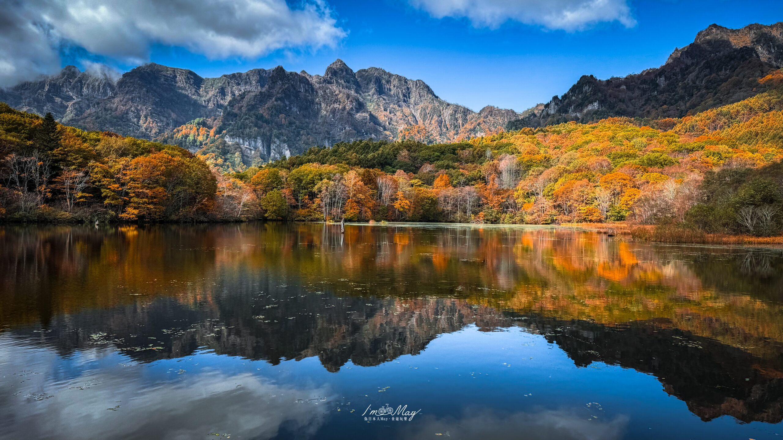 [台北] 極鮮饌海鮮料理。滿滿鮮味創意台菜~宴客/聚餐/慶生 (母親節桌宴試吃體驗) @偽日本人May．食遊玩樂