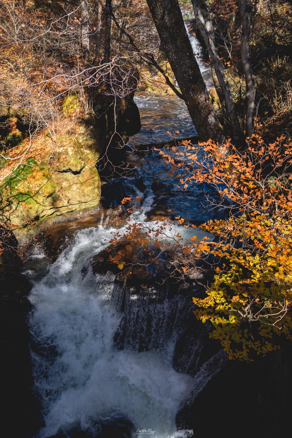栃木旅攝記錄 | 日光奧座敷：龍頭瀑布 (Ryuzu Falls)。捕捉龍頭下的溪流絕景，深秋楓紅行程小插曲，意外換來最美畫面 @偽日本人May．食遊玩樂