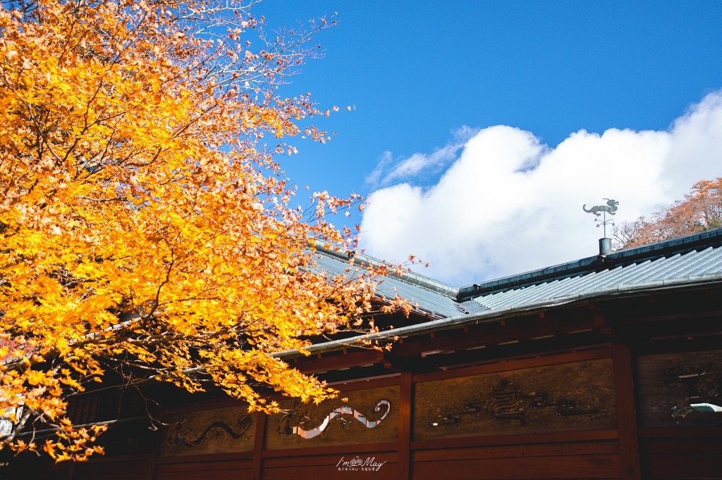 栃木旅攝記錄 | 日光奧座敷：龍頭瀑布 (Ryuzu Falls)。捕捉龍頭下的溪流絕景，深秋楓紅行程小插曲，意外換來最美畫面 @偽日本人May．食遊玩樂