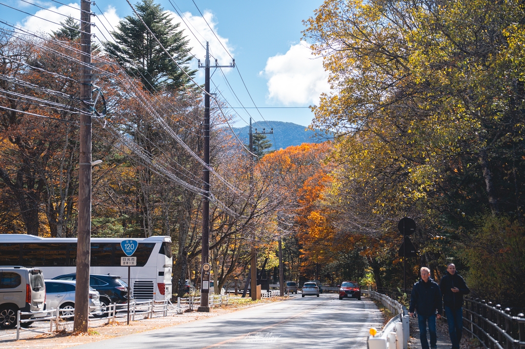 栃木旅攝記錄 | 日光奧座敷：龍頭瀑布 (Ryuzu Falls)。捕捉龍頭下的溪流絕景，深秋楓紅行程小插曲，意外換來最美畫面 @偽日本人May．食遊玩樂