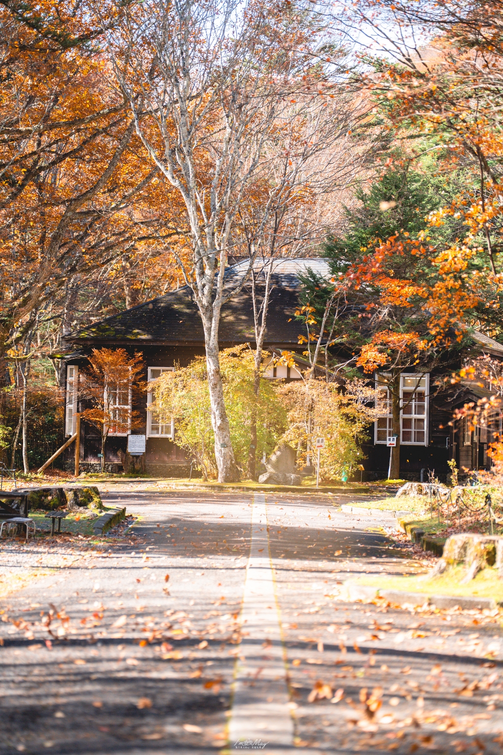 栃木旅攝記錄 | 日光奧座敷：龍頭瀑布 (Ryuzu Falls)。捕捉龍頭下的溪流絕景，深秋楓紅行程小插曲，意外換來最美畫面 @偽日本人May．食遊玩樂