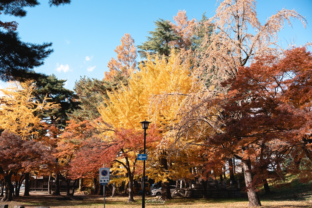福島攝影記錄 | 會津若松的歷史與秋色交織：鶴之城 (Tsuruga Castle)。紅瓦白牆下的銀杏與楓紅，最美的城廓攝影紀實 @偽日本人May．食遊玩樂