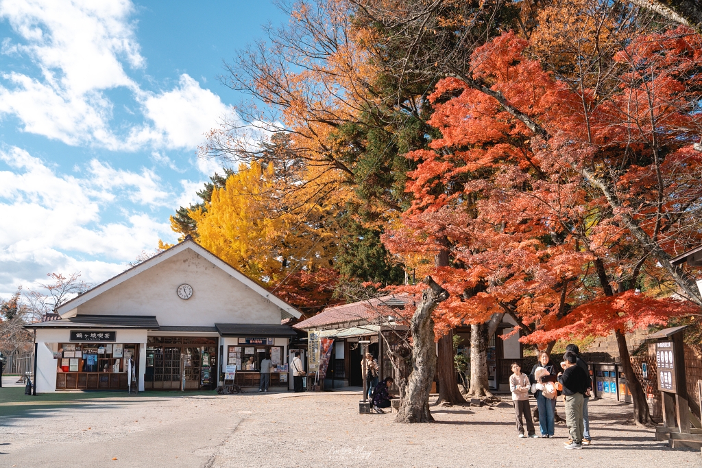 福島攝影記錄 | 會津若松的歷史與秋色交織：鶴之城 (Tsuruga Castle)。紅瓦白牆下的銀杏與楓紅，最美的城廓攝影紀實 @偽日本人May．食遊玩樂