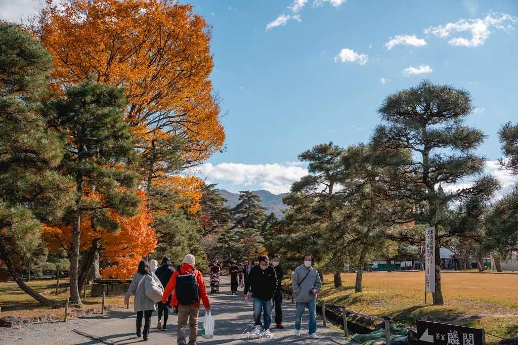 福島攝影記錄 | 會津若松的歷史與秋色交織：鶴之城 (Tsuruga Castle)。紅瓦白牆下的銀杏與楓紅，最美的城廓攝影紀實 @偽日本人May．食遊玩樂
