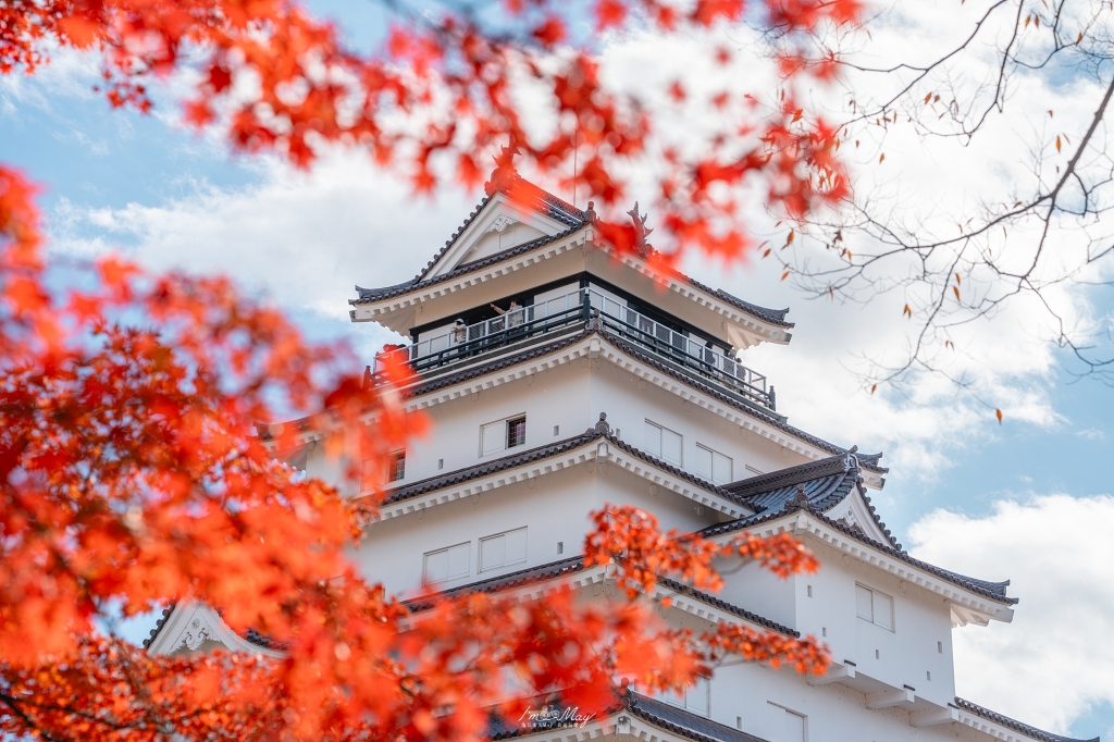 福島攝影記錄 | 會津若松的歷史與秋色交織：鶴之城 (Tsuruga Castle)。紅瓦白牆下的銀杏與楓紅，最美的城廓攝影紀實 @偽日本人May．食遊玩樂