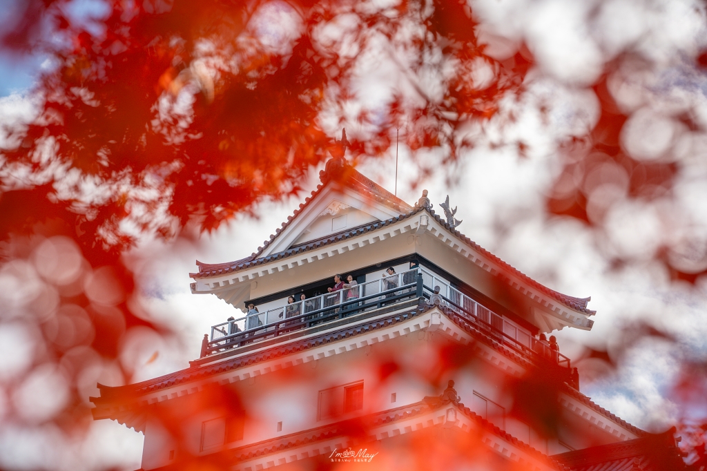 福島攝影記錄 | 會津若松的歷史與秋色交織：鶴之城 (Tsuruga Castle)。紅瓦白牆下的銀杏與楓紅，最美的城廓攝影紀實 @偽日本人May．食遊玩樂