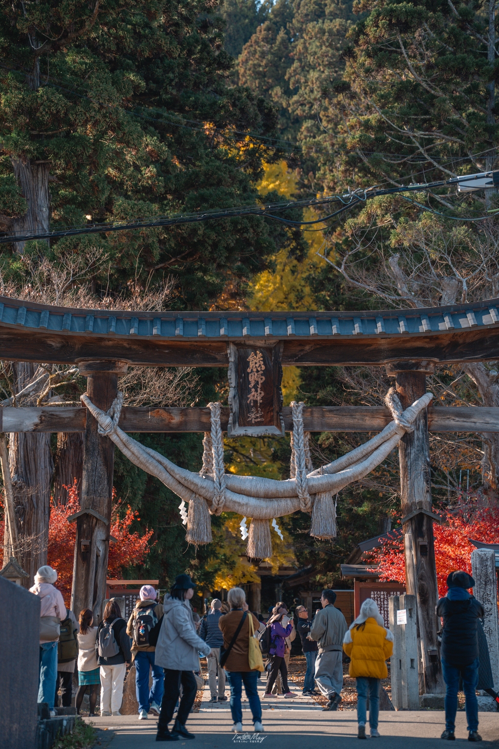 福島攝影記錄 | 踏入千年神殿的深秋時刻：喜多方新宮熊野神社長床，獨享800年大銀杏的光影時光 @偽日本人May．食遊玩樂
