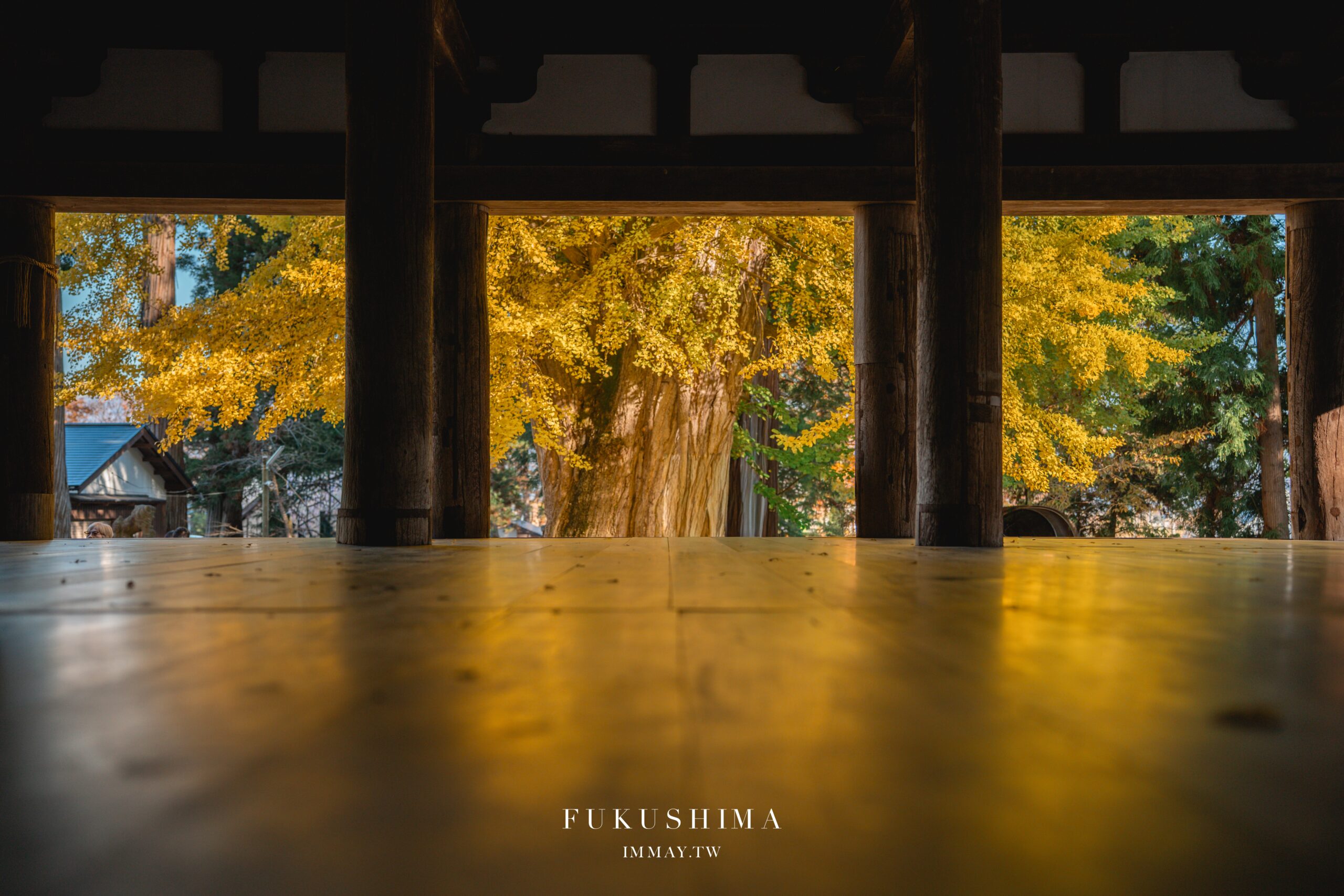 長野 | 促進交情更好的方式，就是在居酒屋與在地人一起把酒言歡 | 松本居酒屋 信州まつもと夜噺 (そば、馬肉、馬刺、日本酒種類齊全) @偽日本人May．食遊玩樂