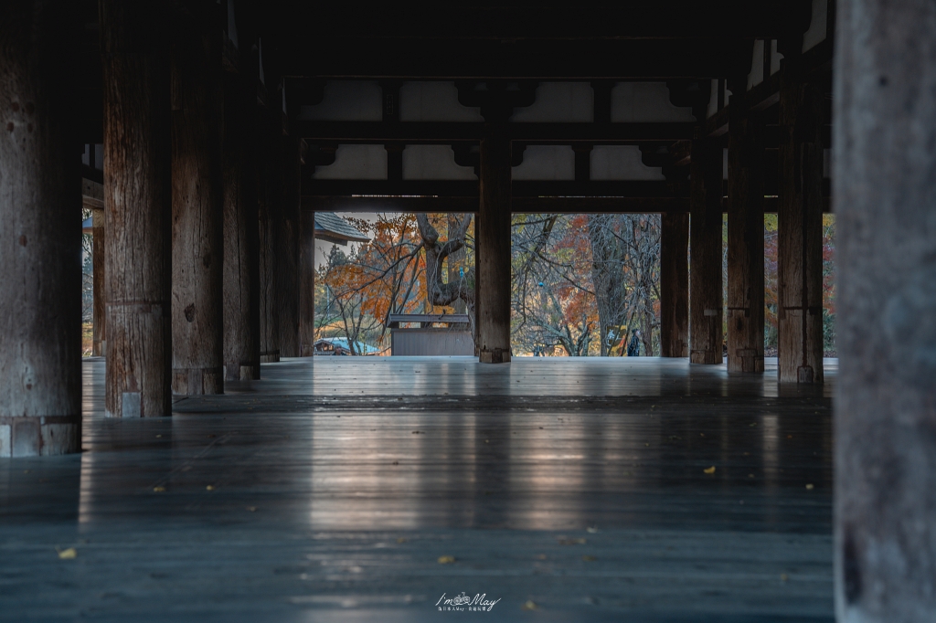 福島攝影記錄 | 踏入千年神殿的深秋時刻：喜多方新宮熊野神社長床，獨享800年大銀杏的光影時光 @偽日本人May．食遊玩樂