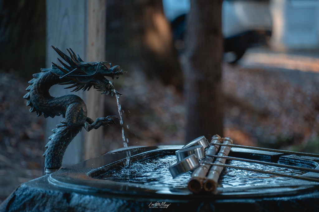 福島攝影記錄 | 踏入千年神殿的深秋時刻：喜多方新宮熊野神社長床，獨享800年大銀杏的光影時光 @偽日本人May．食遊玩樂