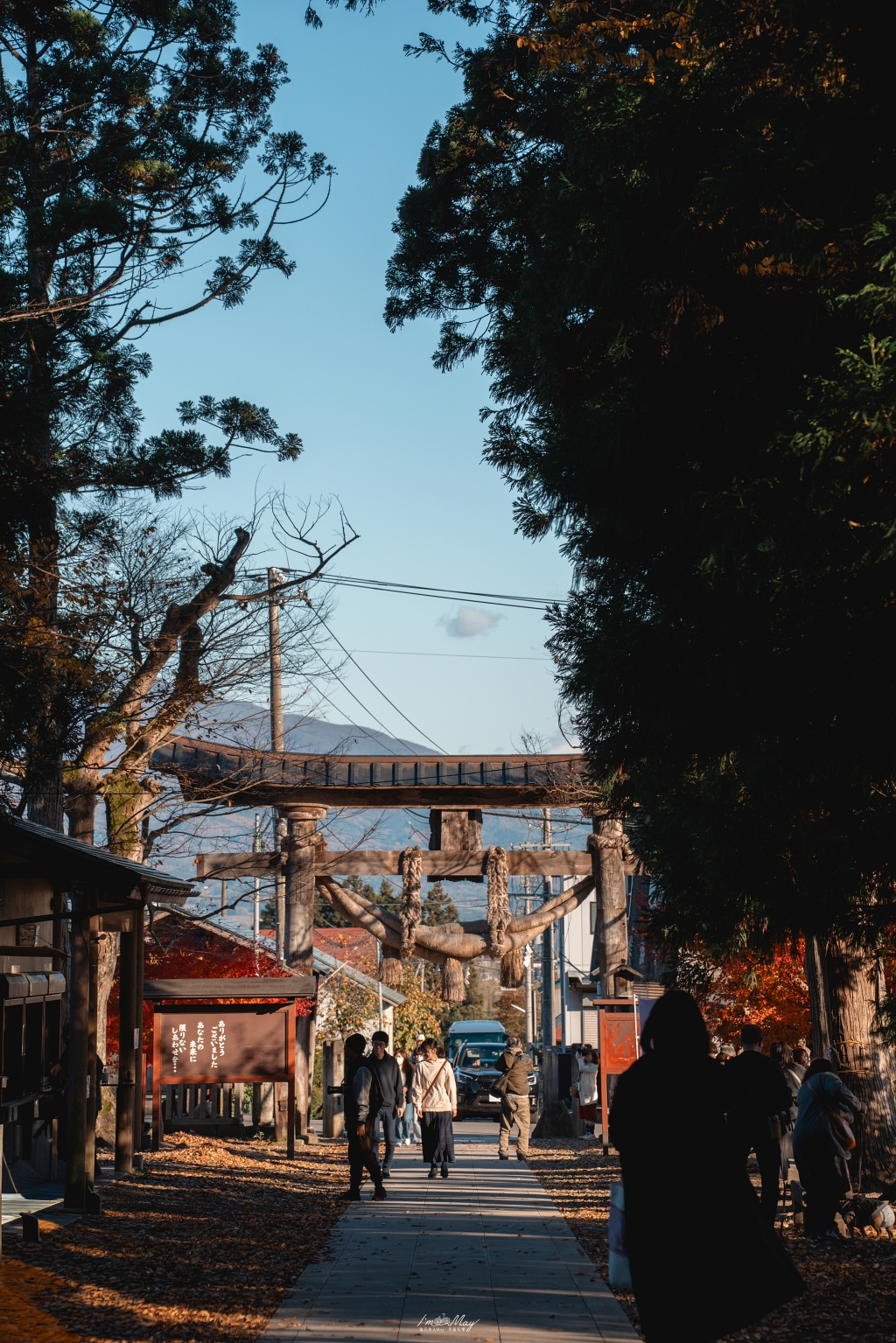 福島攝影記錄 | 踏入千年神殿的深秋時刻：喜多方新宮熊野神社長床，獨享800年大銀杏的光影時光 @偽日本人May．食遊玩樂