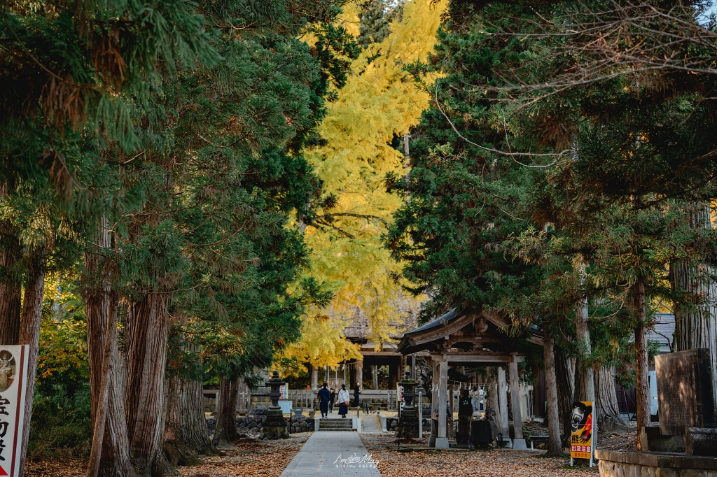 福島攝影記錄 | 踏入千年神殿的深秋時刻：喜多方新宮熊野神社長床，獨享800年大銀杏的光影時光 @偽日本人May．食遊玩樂