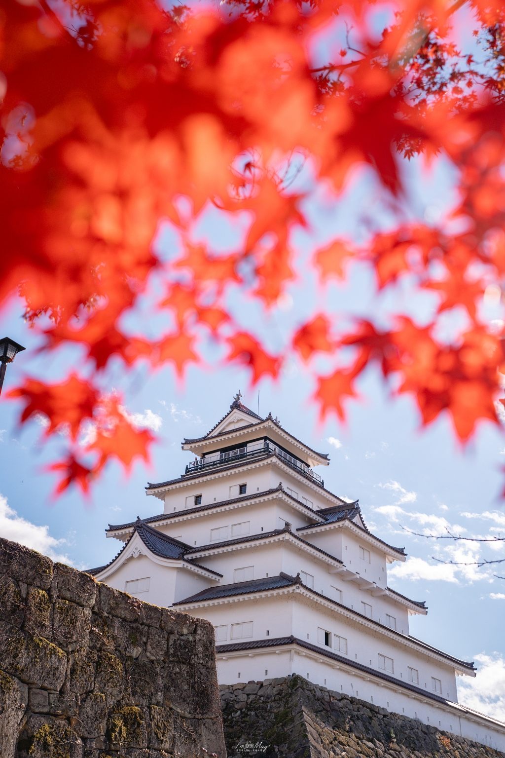 福島攝影記錄 | 會津若松的歷史與秋色交織：鶴之城 (Tsuruga Castle)。紅瓦白牆下的銀杏與楓紅，最美的城廓攝影紀實 @偽日本人May．食遊玩樂