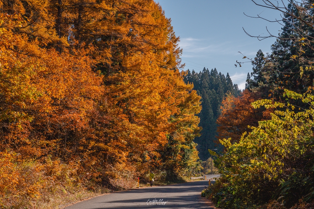 「世界最浪漫鐵道」只見線深秋攝影記錄｜第一到第八鐵橋全制霸、大志集落與私房景點，用 20+ 次經驗與在地攝影家協助的完整只見線拍攝旅程 @偽日本人May．食遊玩樂