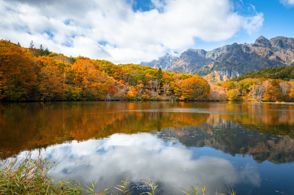 長野攝影記錄｜戶隱神社奧社：夢想清單解鎖！走進千年杉並木參道，捕捉秋日限定的絕美紅葉光影 @偽日本人May．食遊玩樂