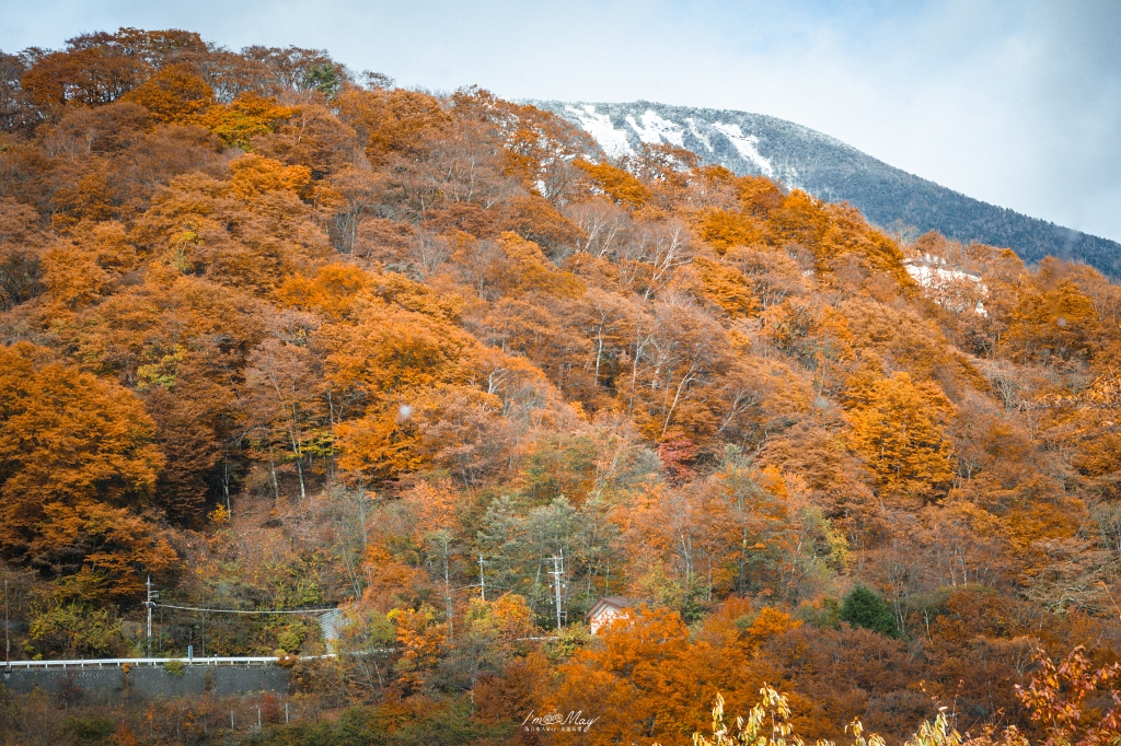 栃木旅攝記錄 | 日光奧座敷：龍頭瀑布 (Ryuzu Falls)。捕捉龍頭下的溪流絕景，深秋楓紅行程小插曲，意外換來最美畫面 @偽日本人May．食遊玩樂
