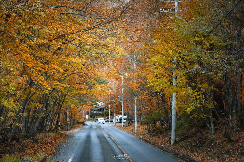 栃木旅攝記錄 | 日光奧座敷：龍頭瀑布 (Ryuzu Falls)。捕捉龍頭下的溪流絕景，深秋楓紅行程小插曲，意外換來最美畫面 @偽日本人May．食遊玩樂