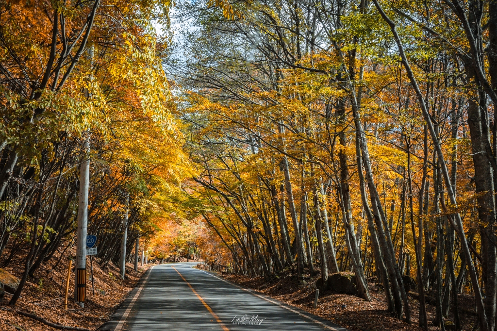 栃木旅攝記錄 | 日光奧座敷：龍頭瀑布 (Ryuzu Falls)。捕捉龍頭下的溪流絕景，深秋楓紅行程小插曲，意外換來最美畫面 @偽日本人May．食遊玩樂