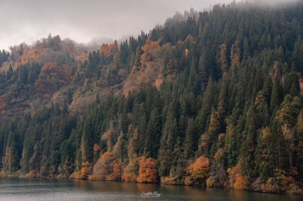 「世界最浪漫鐵道」只見線深秋攝影記錄｜第一到第八鐵橋全制霸、大志集落與私房景點，用 20+ 次經驗與在地攝影家協助的完整只見線拍攝旅程 @偽日本人May．食遊玩樂