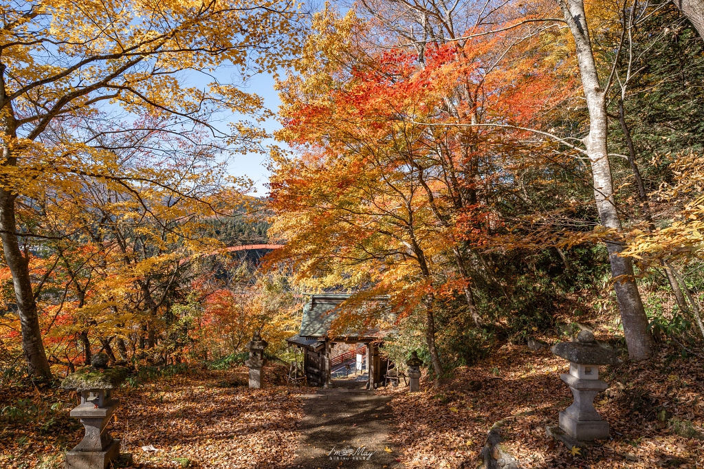 福島攝影記錄 | 奧會津柳津町：岩壁上最絢爛的秋季色彩：福満虚空藏菩薩霊巌山 圓藏寺 (Enzoji Temple)，捕捉只見川畔的錦秋之美 @偽日本人May．食遊玩樂