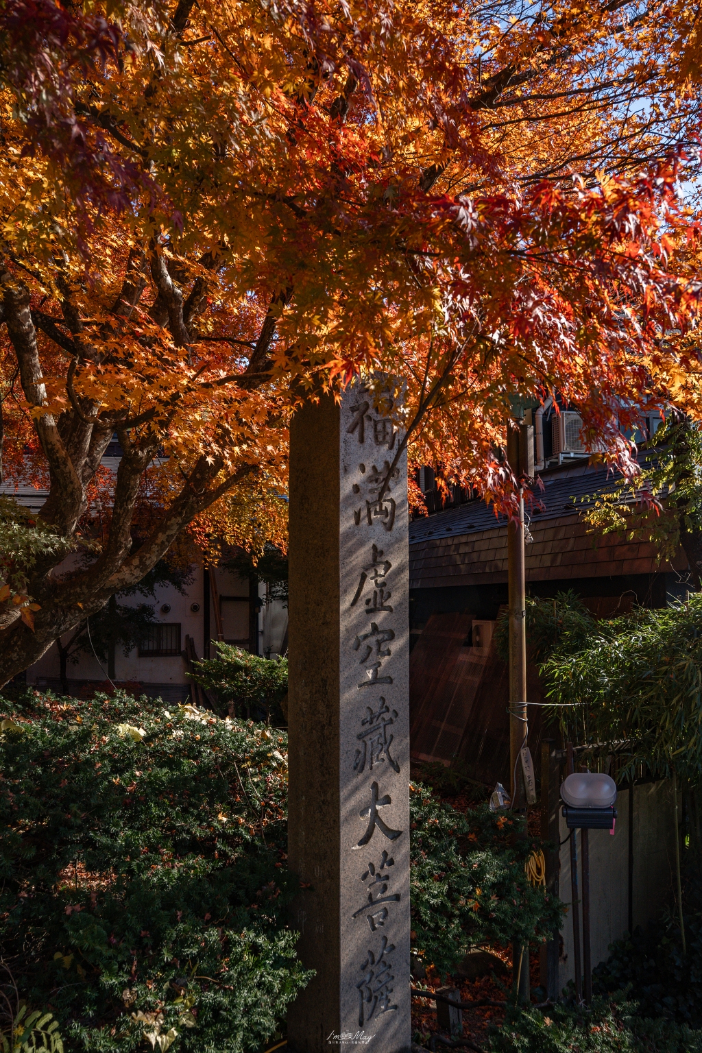 福島攝影記錄 | 奧會津柳津町：岩壁上最絢爛的秋季色彩：福満虚空藏菩薩霊巌山 圓藏寺 (Enzoji Temple)，捕捉只見川畔的錦秋之美 @偽日本人May．食遊玩樂