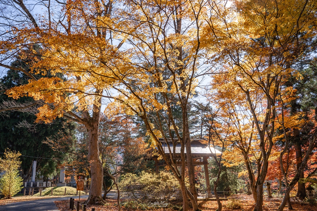 福島攝影記錄 | 奧會津柳津町：岩壁上最絢爛的秋季色彩：福満虚空藏菩薩霊巌山 圓藏寺 (Enzoji Temple)，捕捉只見川畔的錦秋之美 @偽日本人May．食遊玩樂