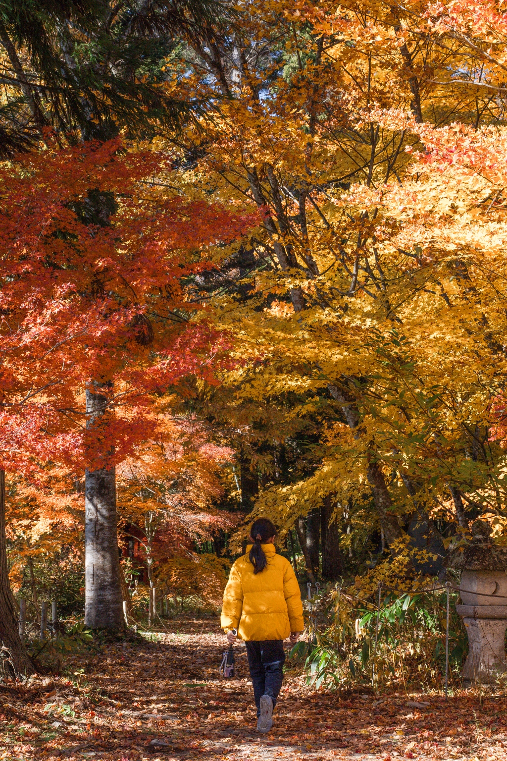 福島攝影記錄 | 奧會津柳津町:岩壁上最絢爛的秋季色彩:福満虚空藏菩薩霊巌山 圓藏寺 (Enzoji Temple),捕捉只見川畔的錦秋之美 @偽日本人May.食遊玩樂 福島攝影記錄 | 奧會津柳津町:岩壁上最絢爛的秋季色彩:福満虚空藏菩薩霊巌山 圓藏寺 (Enzoji Temple),捕捉只見川畔的錦秋之美 @偽日本人May.食遊玩樂