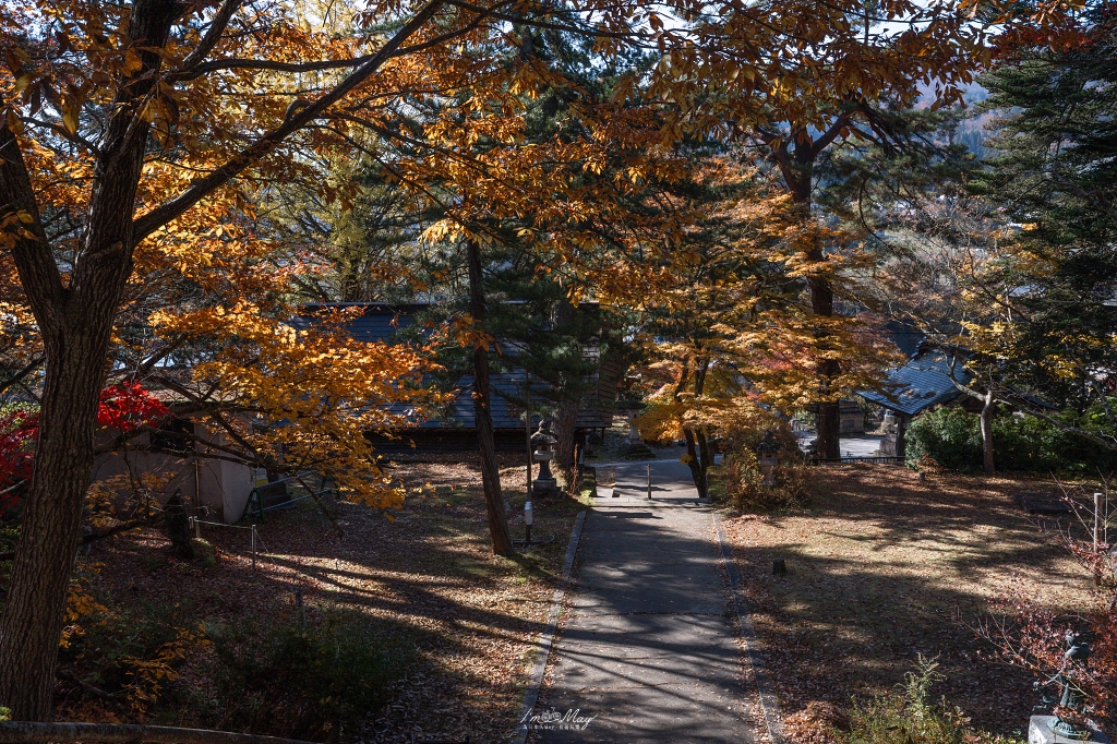 福島攝影記錄 | 奧會津柳津町：岩壁上最絢爛的秋季色彩：福満虚空藏菩薩霊巌山 圓藏寺 (Enzoji Temple)，捕捉只見川畔的錦秋之美 @偽日本人May．食遊玩樂