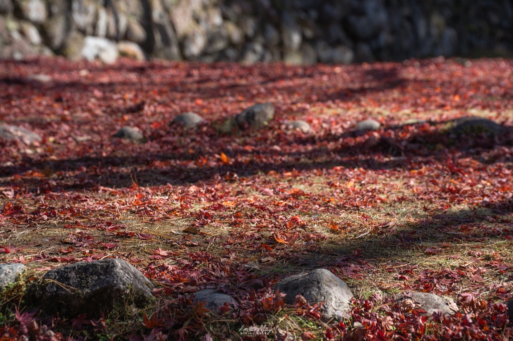 福島攝影記錄 | 奧會津柳津町：岩壁上最絢爛的秋季色彩：福満虚空藏菩薩霊巌山 圓藏寺 (Enzoji Temple)，捕捉只見川畔的錦秋之美 @偽日本人May．食遊玩樂