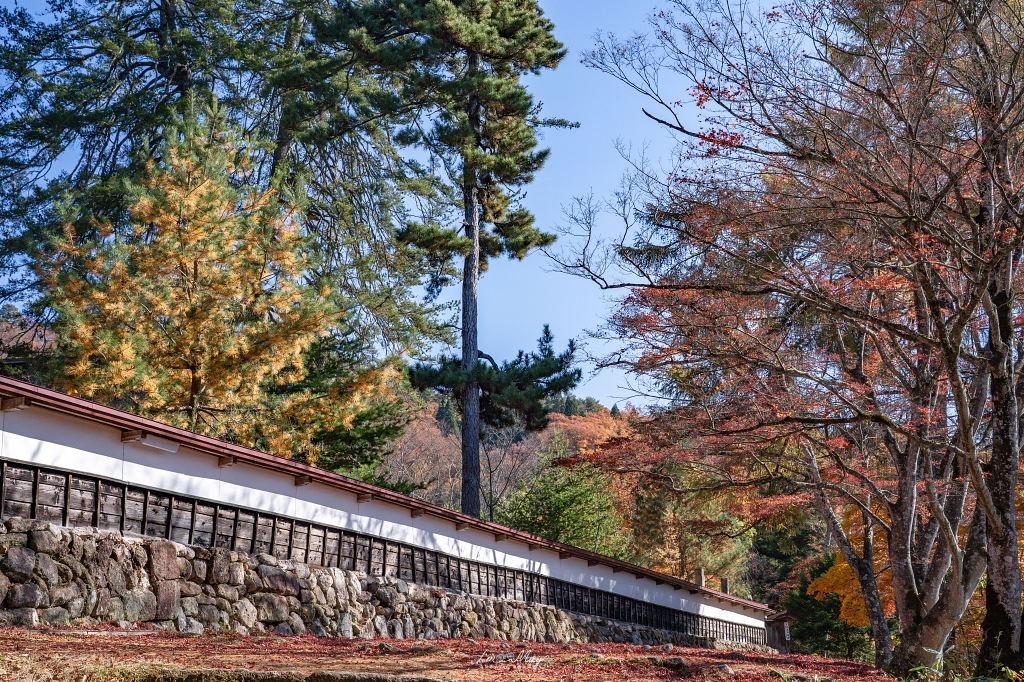 福島攝影記錄 | 奧會津柳津町:岩壁上最絢爛的秋季色彩:福満虚空藏菩薩霊巌山 圓藏寺 (Enzoji Temple),捕捉只見川畔的錦秋之美 @偽日本人May.食遊玩樂 福島攝影記錄 | 奧會津柳津町:岩壁上最絢爛的秋季色彩:福満虚空藏菩薩霊巌山 圓藏寺 (Enzoji Temple),捕捉只見川畔的錦秋之美 @偽日本人May.食遊玩樂