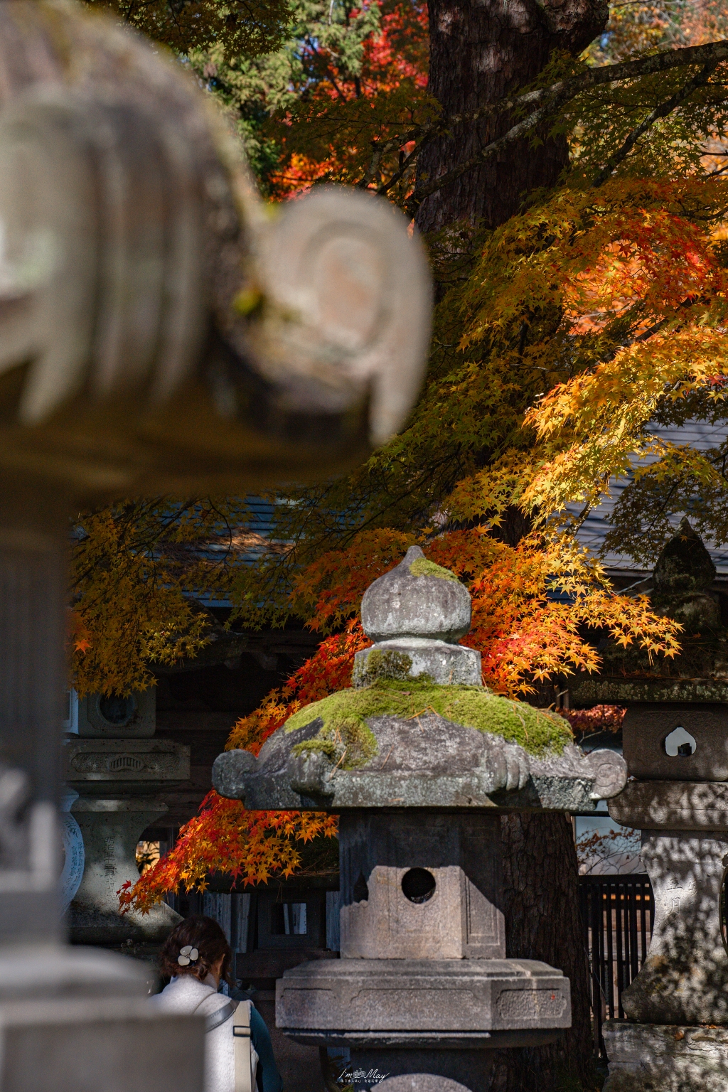 福島攝影記錄 | 奧會津柳津町：岩壁上最絢爛的秋季色彩：福満虚空藏菩薩霊巌山 圓藏寺 (Enzoji Temple)，捕捉只見川畔的錦秋之美 @偽日本人May．食遊玩樂