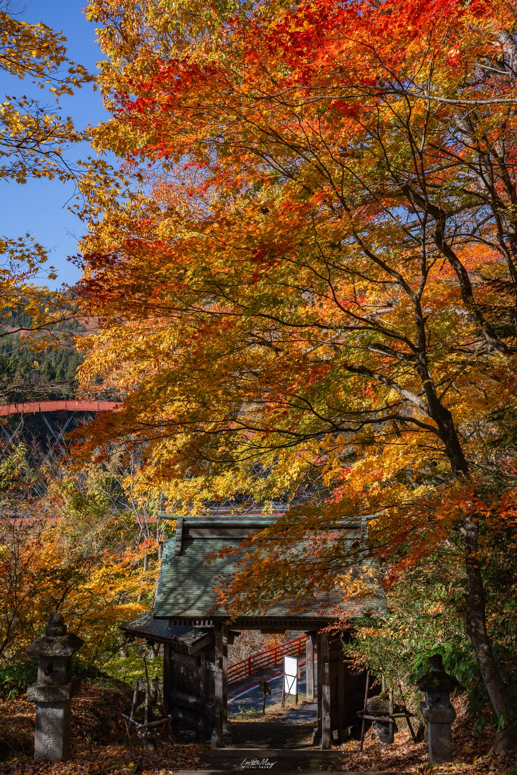 福島攝影記錄 | 奧會津柳津町：岩壁上最絢爛的秋季色彩：福満虚空藏菩薩霊巌山 圓藏寺 (Enzoji Temple)，捕捉只見川畔的錦秋之美 @偽日本人May．食遊玩樂